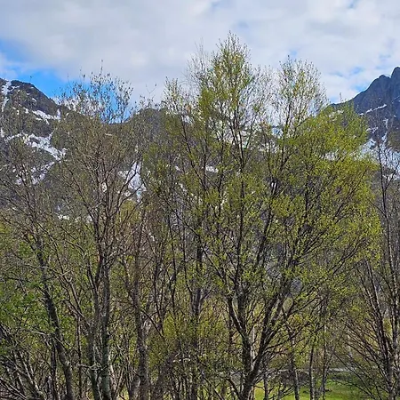 Apartmán Haugteig 6