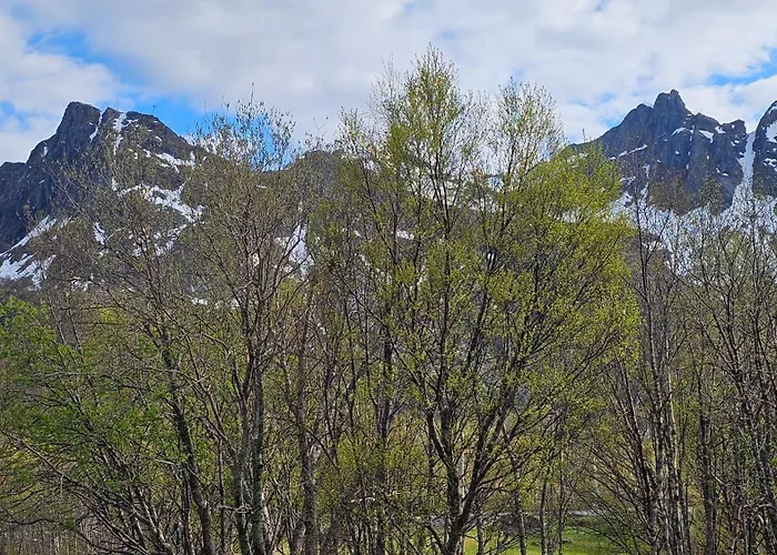 Leilighet Haugteig 6